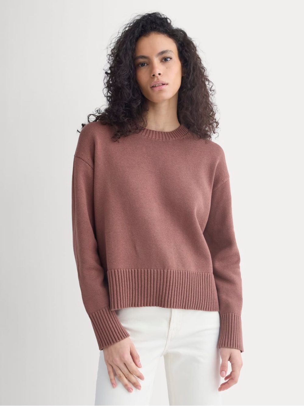 Everlane The Boxy Sweater in Everyday Cotton | XS